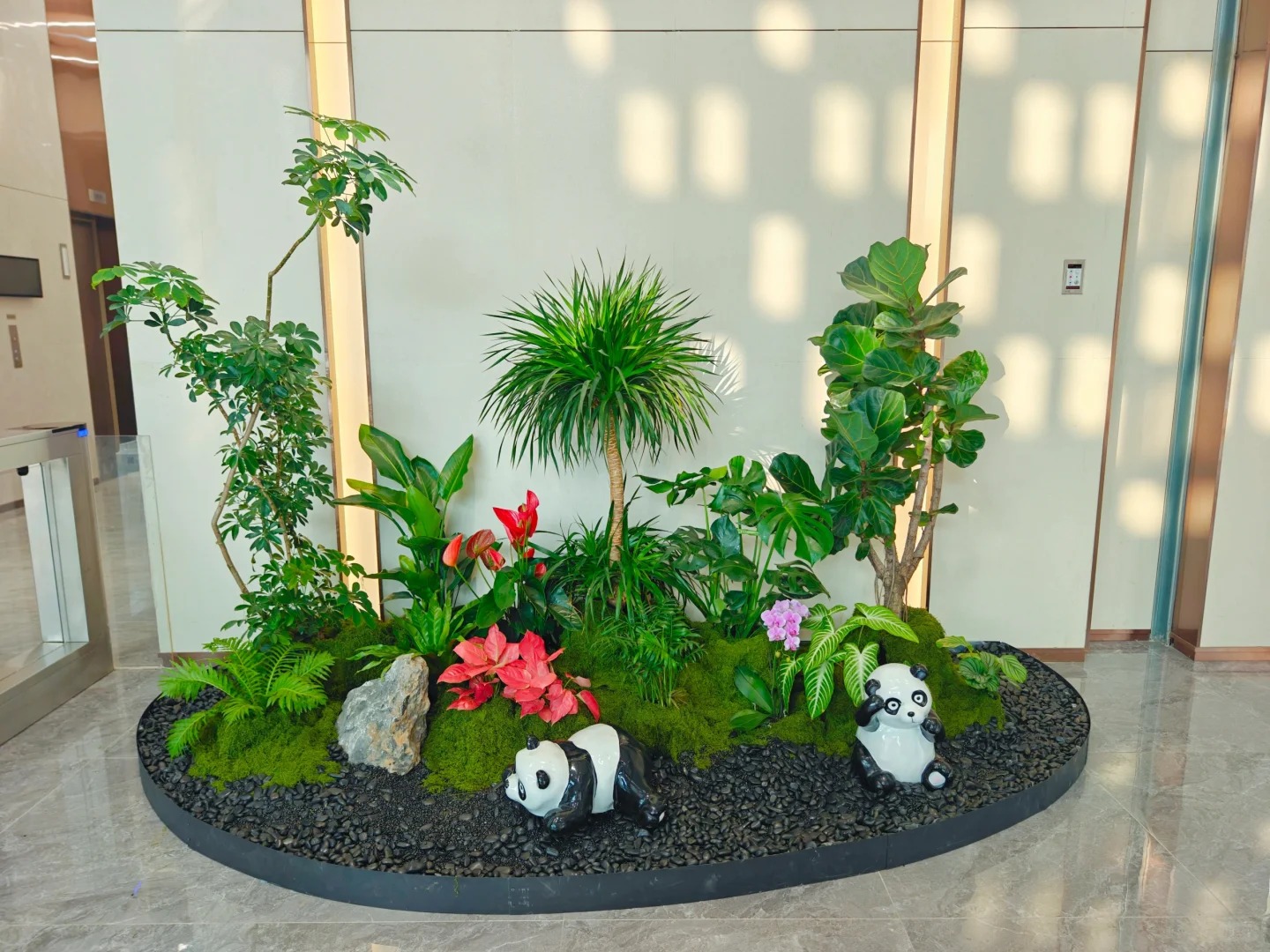 专业奉化绿植租赁，给您的空间增添一抹自然绿